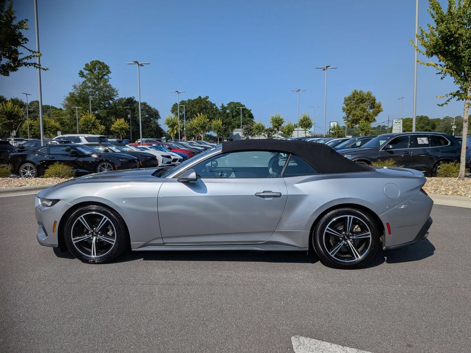 Used 2024 Ford Mustang Premium RWD image 6