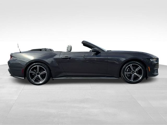 Used 2024 Ford Mustang Premium video 2