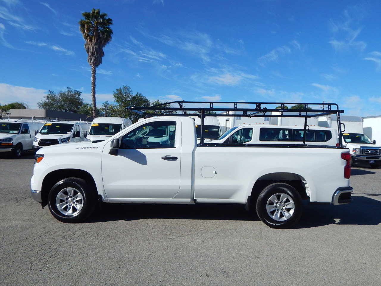 Used 2024 Chevrolet Silverado 1500 W/T w/ WT Fleet Convenience Package image 5