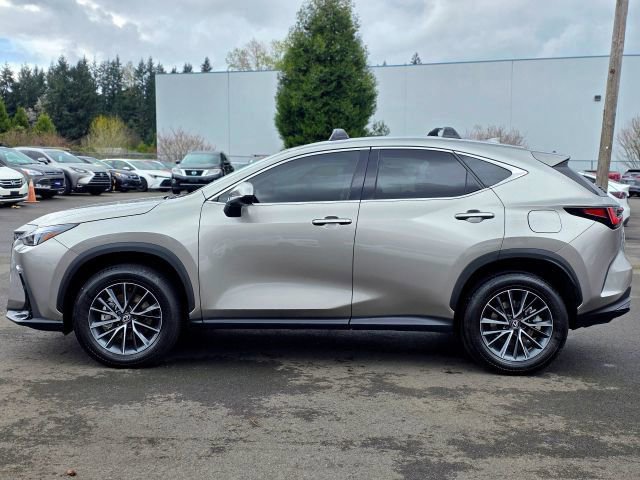 Used 2025 Lexus NX 350 AWD w/ Premium Package image 4