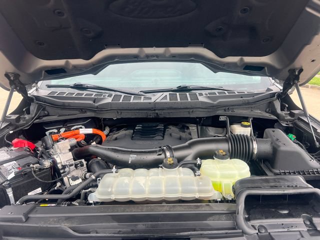 Used 2021 Ford F150 Limited AWD/4WD image 15