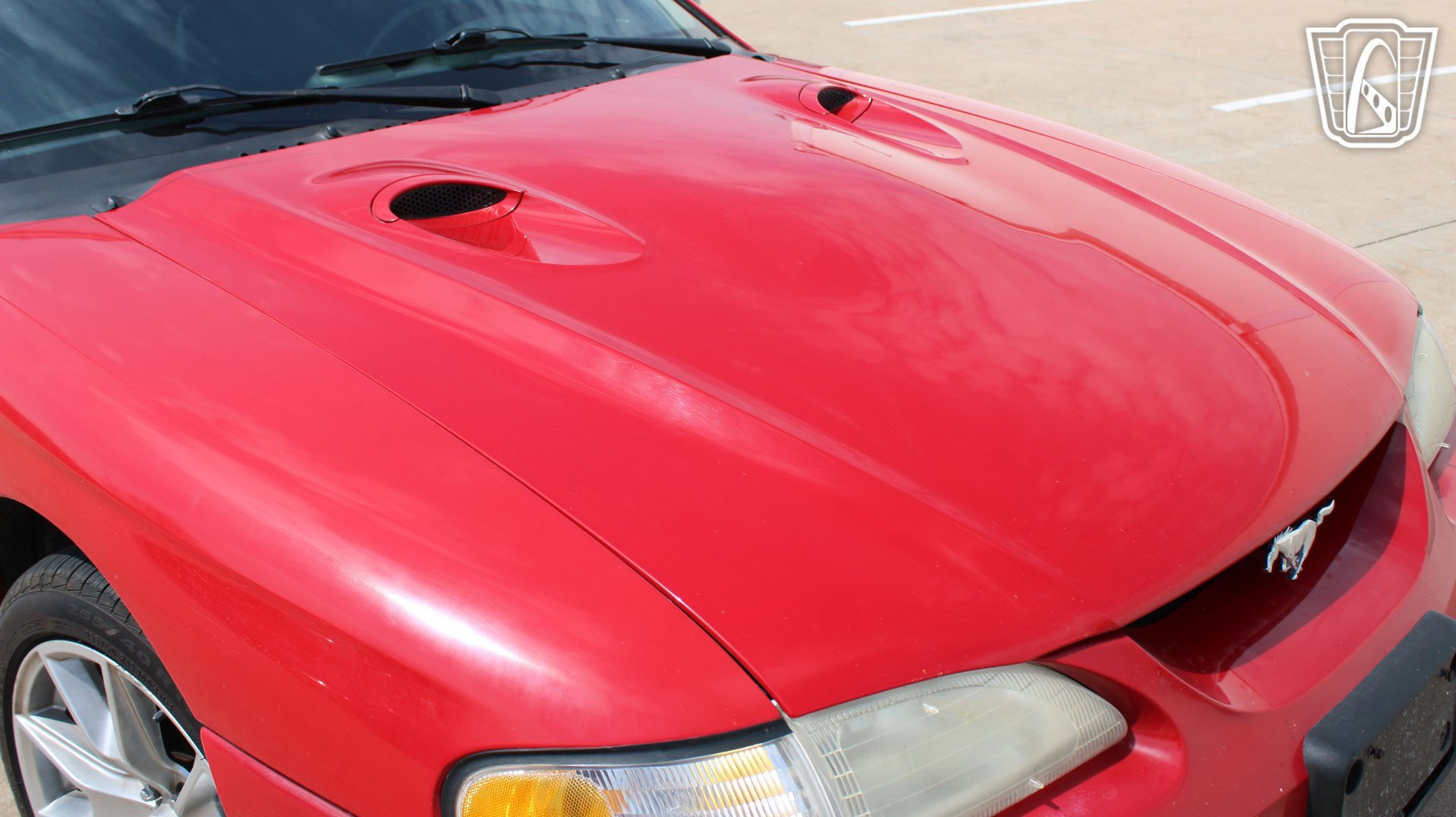 Used 1997 Ford Mustang Cobra RWD image 37