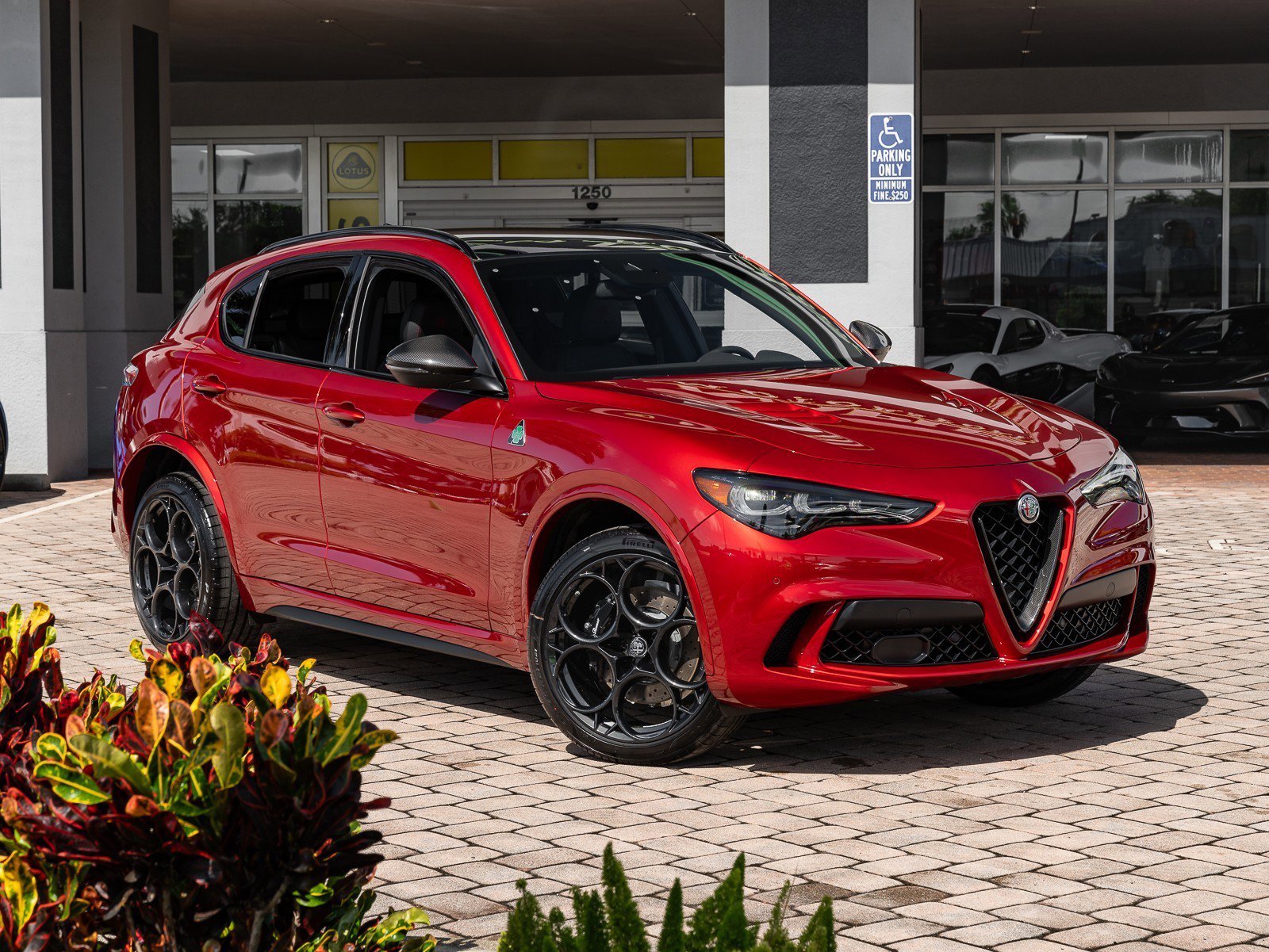 New 2024 Alfa Romeo Stelvio Quadrifoglio image 12