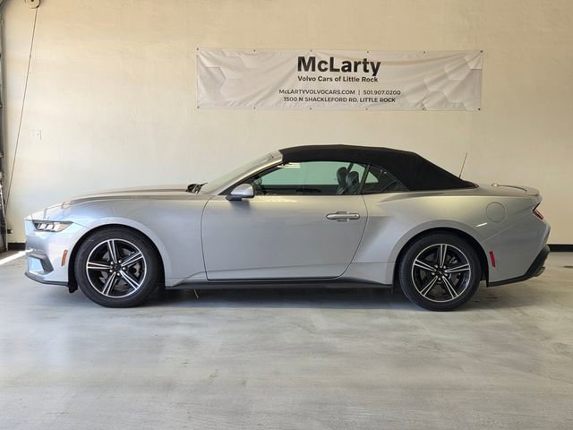 Used 2024 Ford Mustang Premium RWD image 2