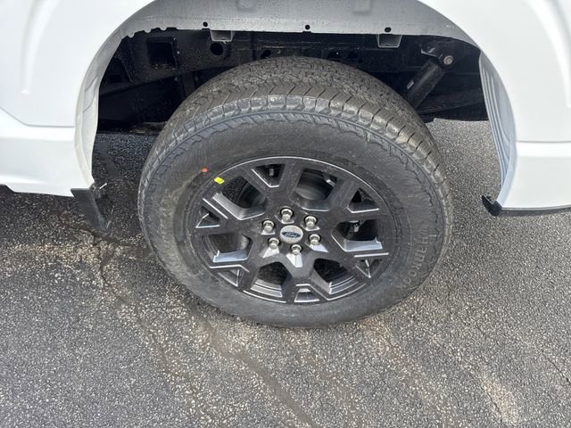 New 2026 Ford F150 STX w/ Equipment Group 200A image 14