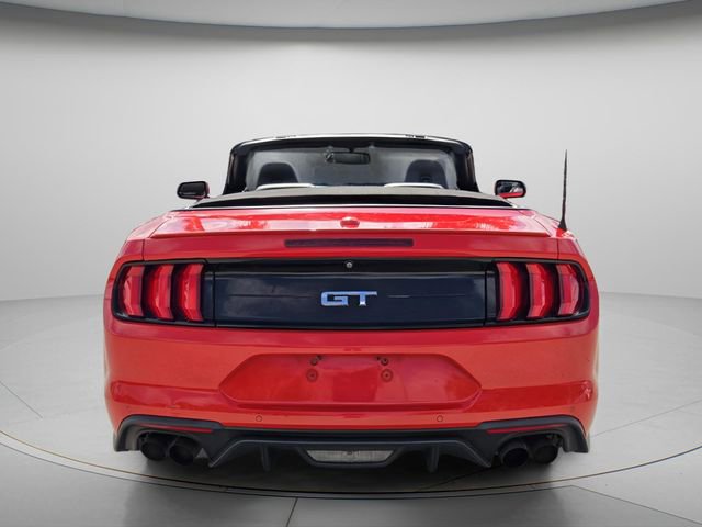 Used 2019 Ford Mustang GT Premium w/ Equipment Group 401A RWD image 6