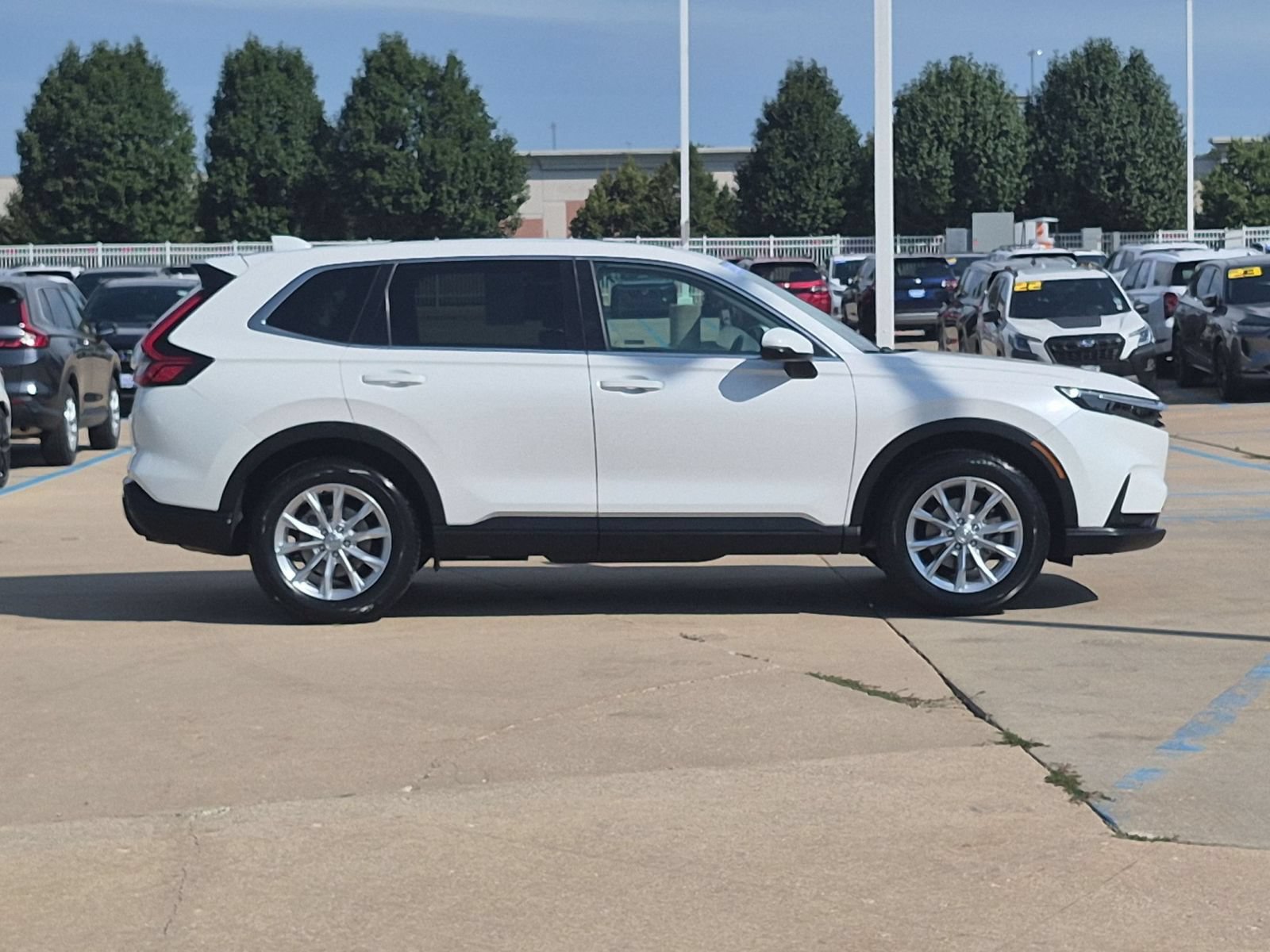 Certified 2024 Honda CR-V EX-L image 6