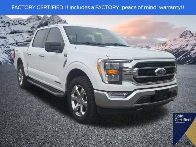 Used 2021 Ford F150 XLT w/ Equipment Group 302A High