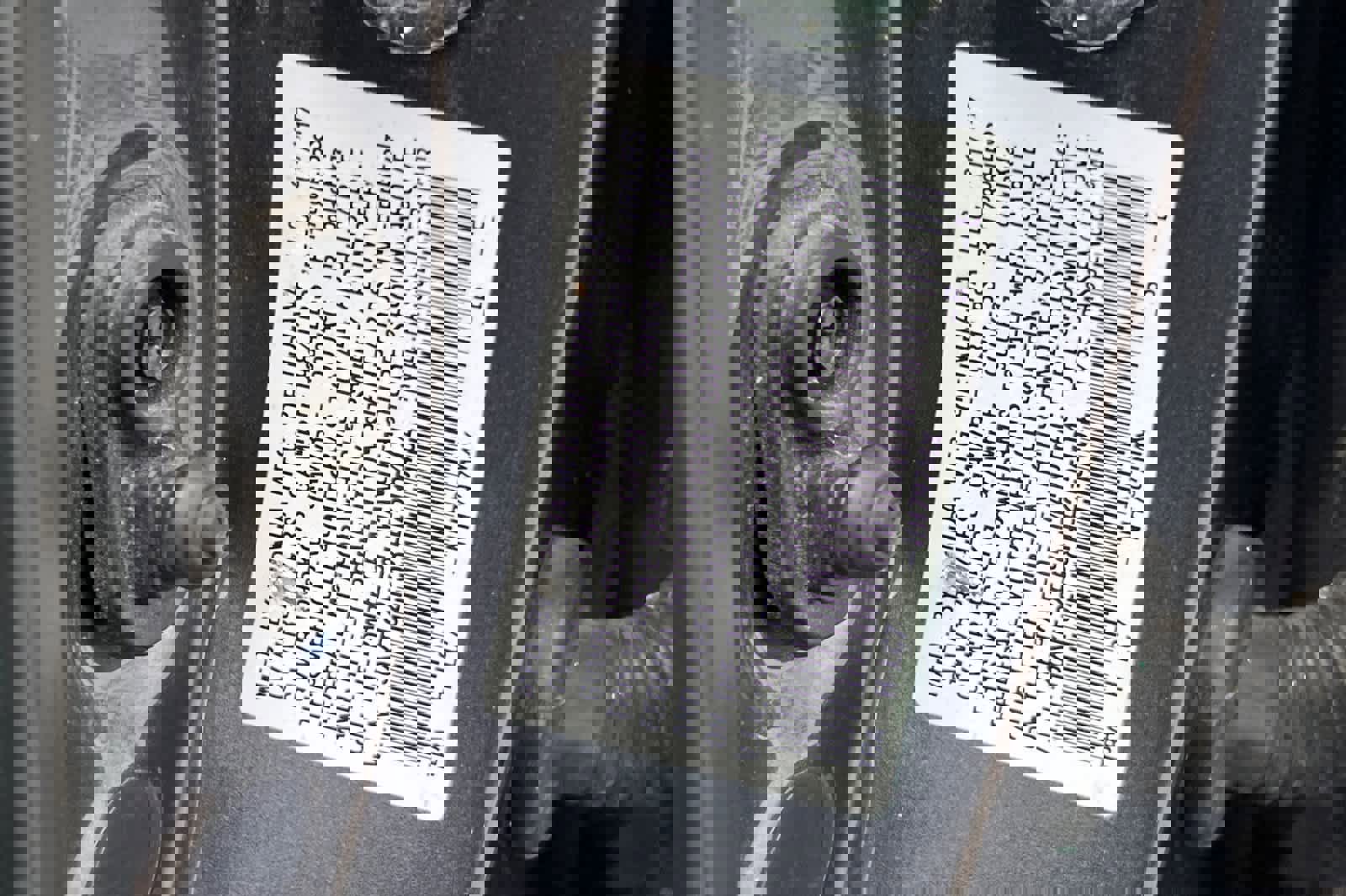 Used 2017 Honda Civic LX image 30