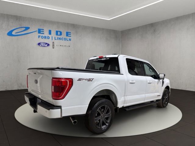 Used 2023 Ford F150 XLT w/ Equipment Group 302A High image 10