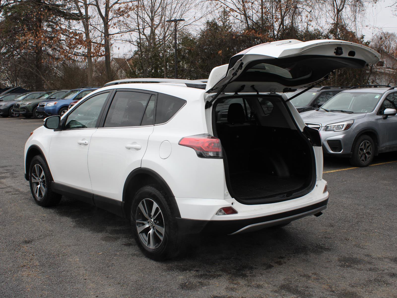 Used 2018 Toyota RAV4 XLE w/ Plus Extra Value Package image 7