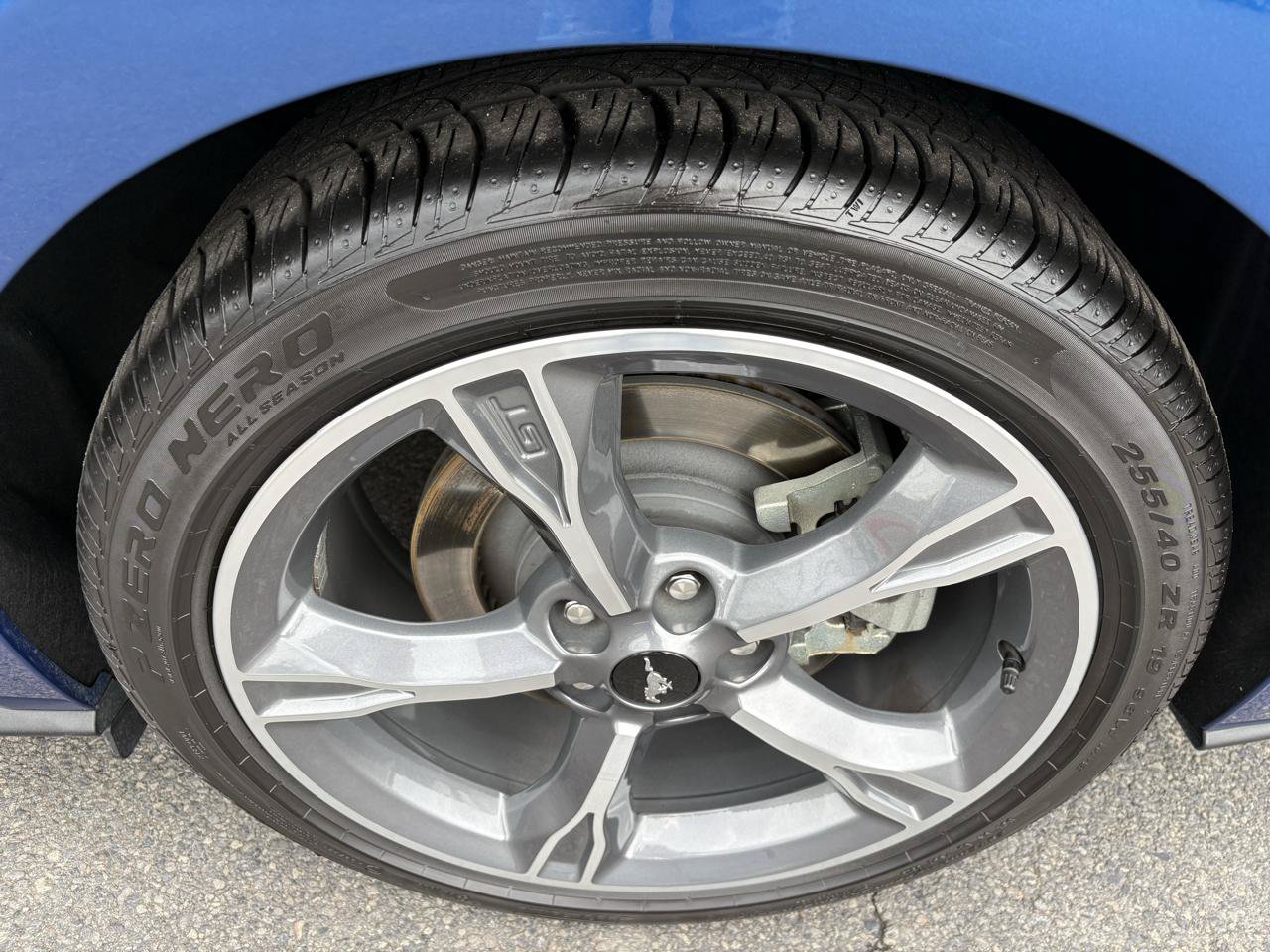 Used 2023 Ford Mustang GT Premium w/ Equipment Group 401A RWD image 15