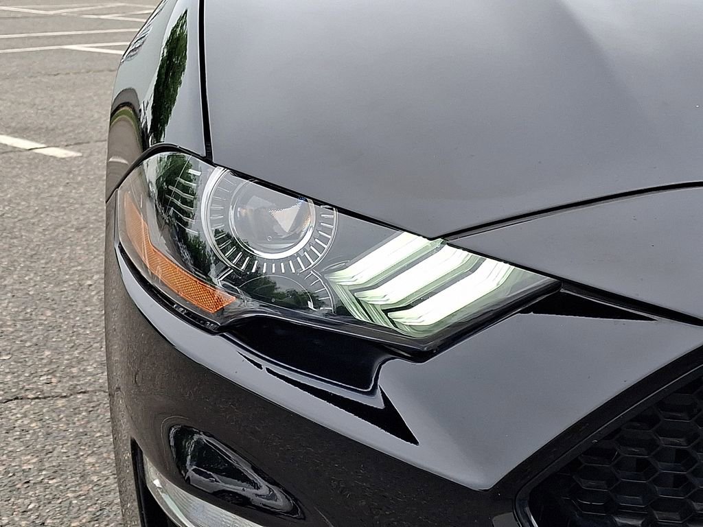 Used 2019 Ford Mustang GT Premium w/ Equipment Group 401A RWD image 12