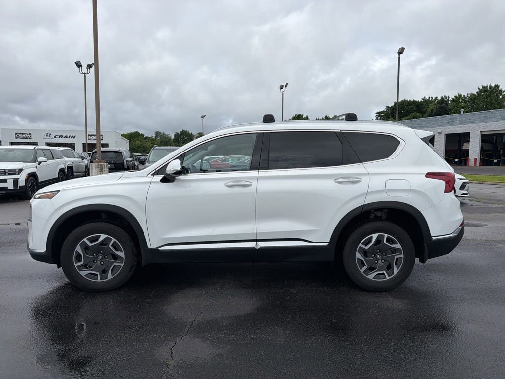 Used 2022 Hyundai Santa Fe Blue AWD/4WD image 11