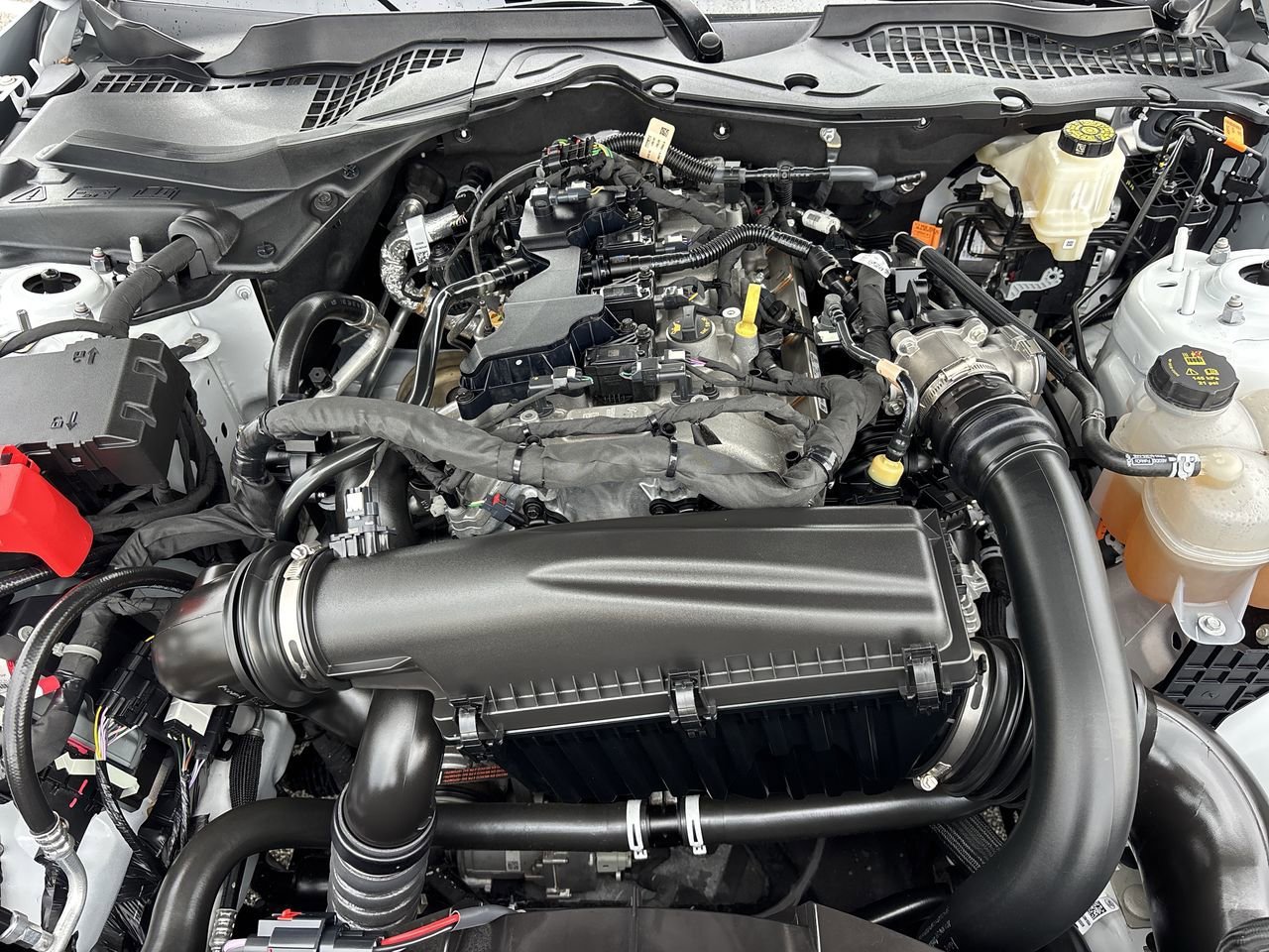 Used 2024 Ford Mustang Coupe RWD image 10