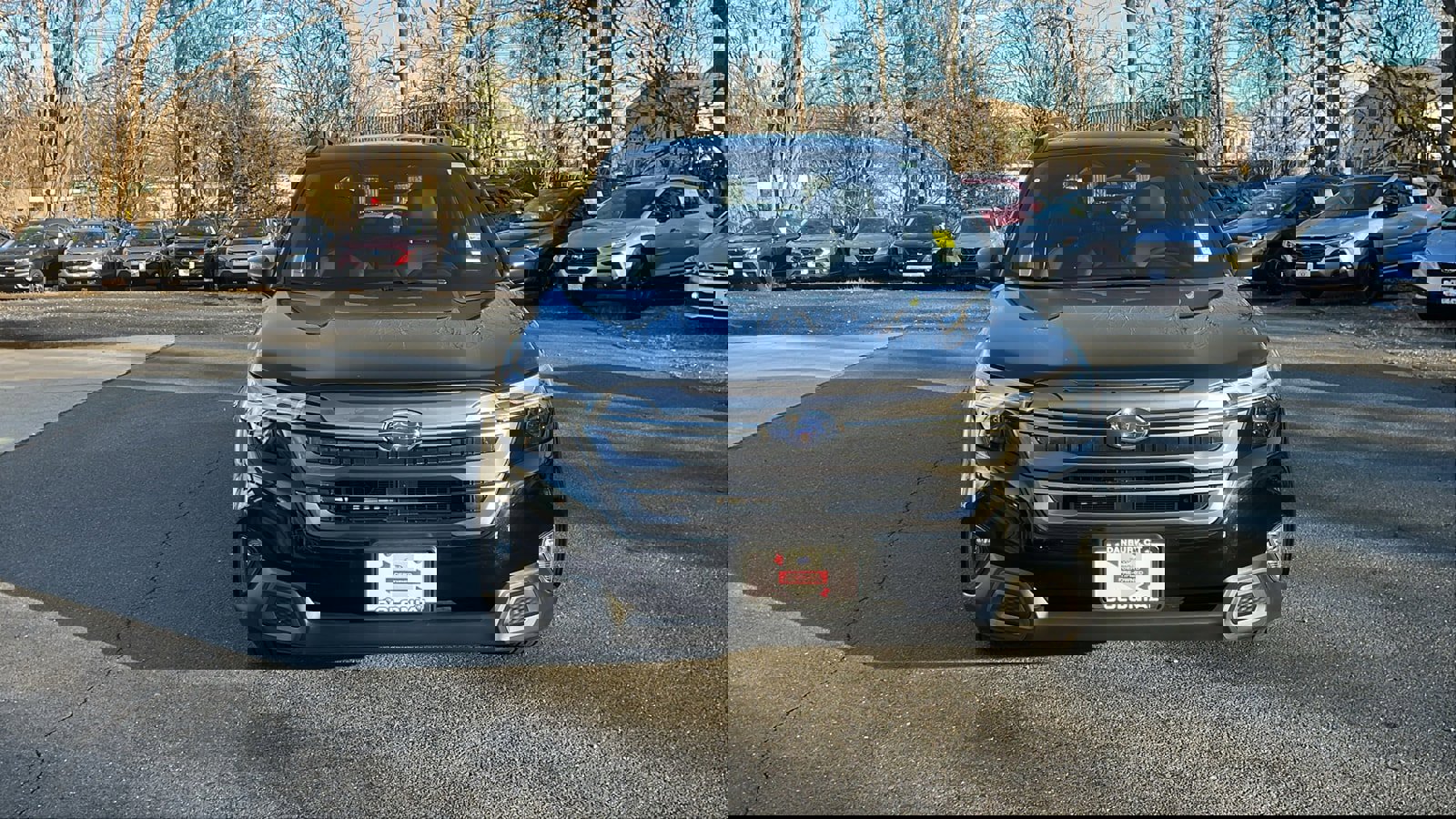 Certified 2025 Subaru Forester Limited image 4