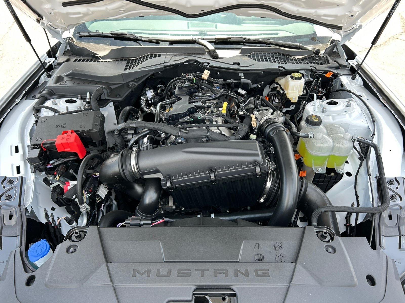 New 2026 Ford Mustang Coupe RWD image 21