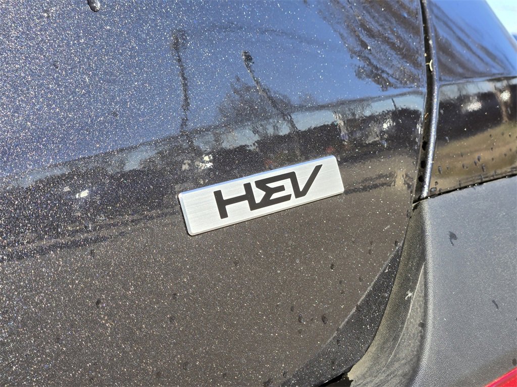 New 2026 Kia Carnival EX image 7