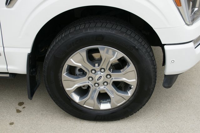 Used 2021 Ford F150 Platinum w/ Equipment Group 701A High image 9
