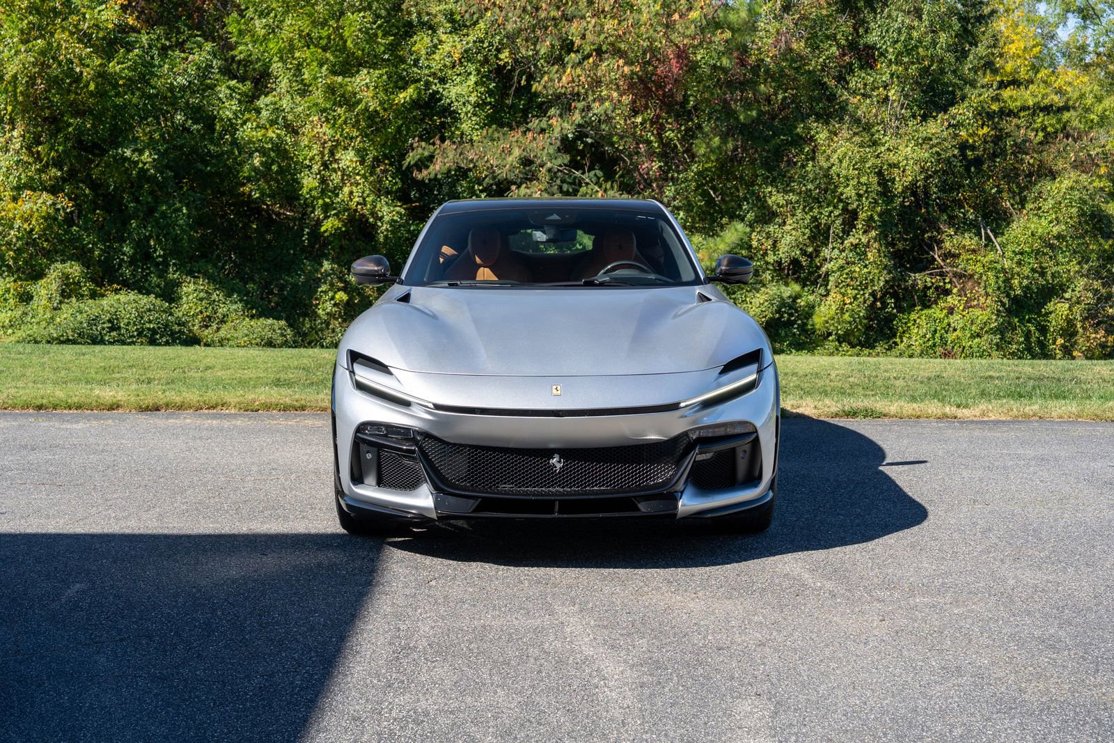 Certified 2025 Ferrari Purosangue image 5