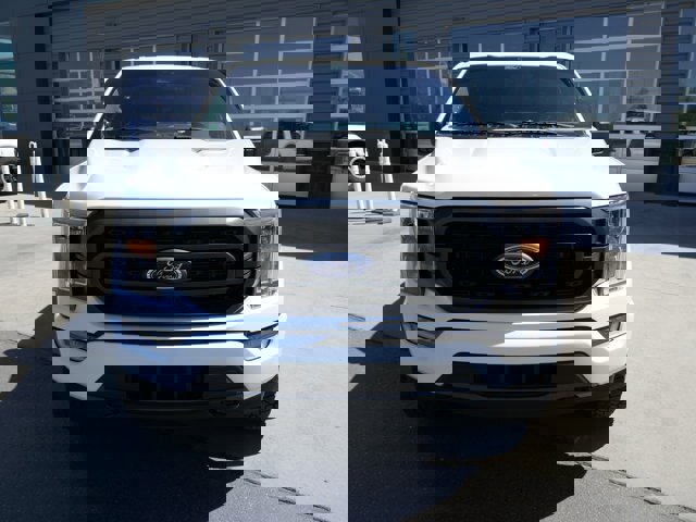 Certified 2022 Ford F150 XLT w/ Equipment Group 302A High image 2