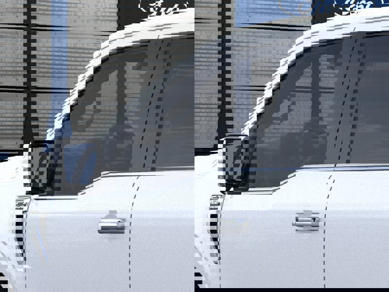 New 2026 Ford F150 Platinum image 20