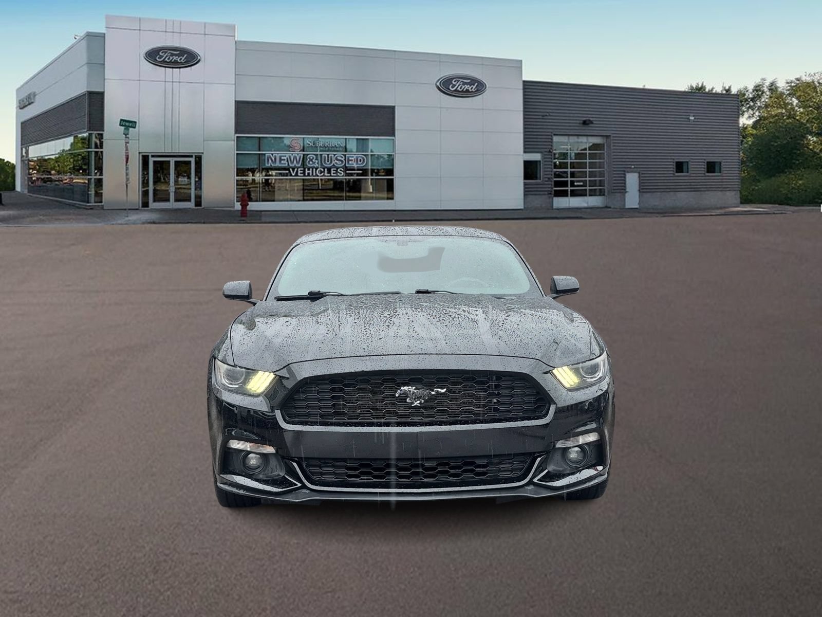 Used 2015 Ford Mustang Coupe w/ Equipment Group 051A RWD image 3