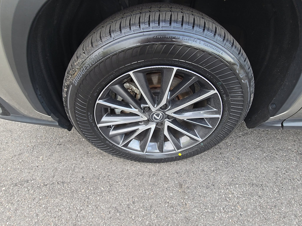 Used 2024 Lexus NX 250 AWD w/ Cold Area Package image 11