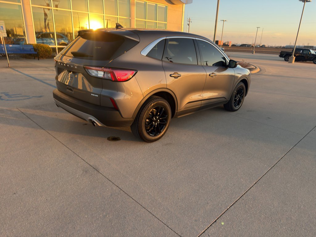 Used 2022 Ford Escape SE w/ Cold Weather Package image 5