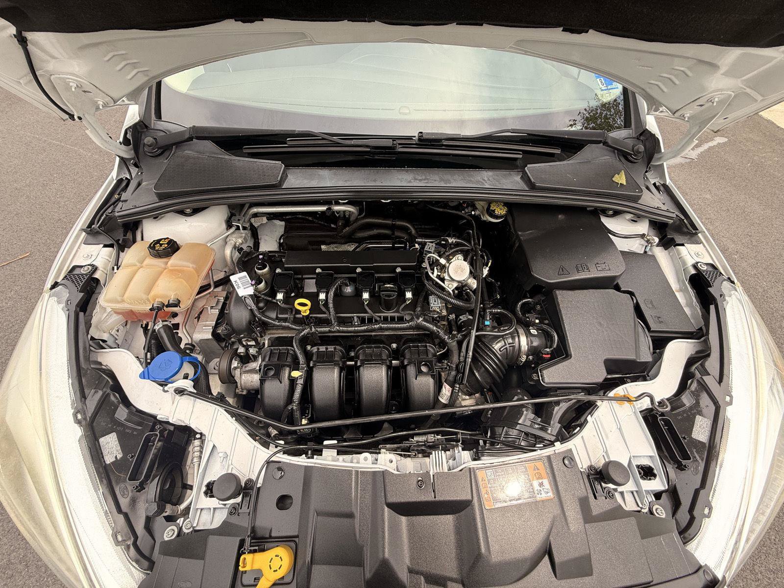 Used 2016 Ford Focus SE w/ SE Power Seat Package FWD image 11