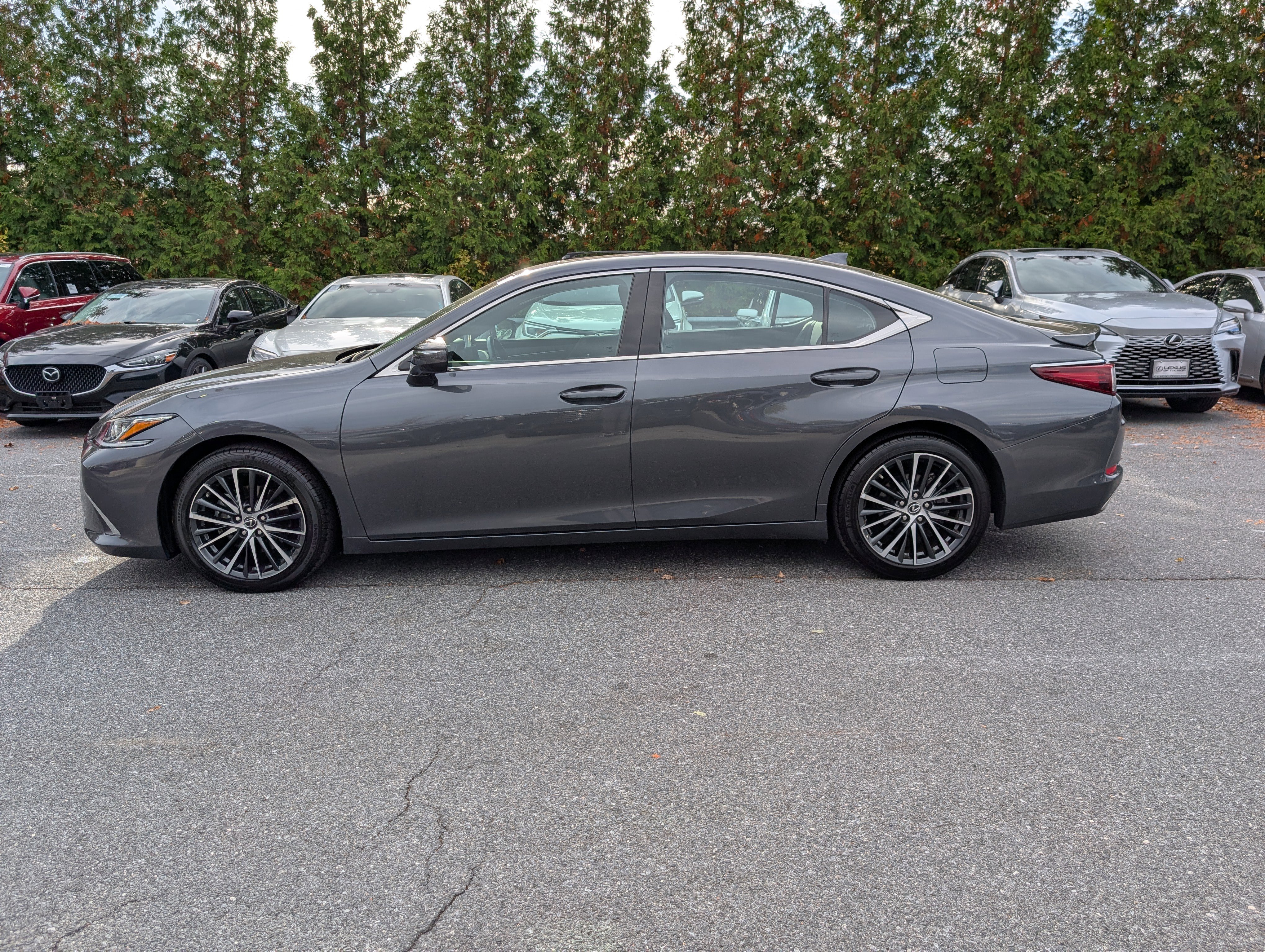 Certified 2025 Lexus ES 350 w/ Premium Package image 6