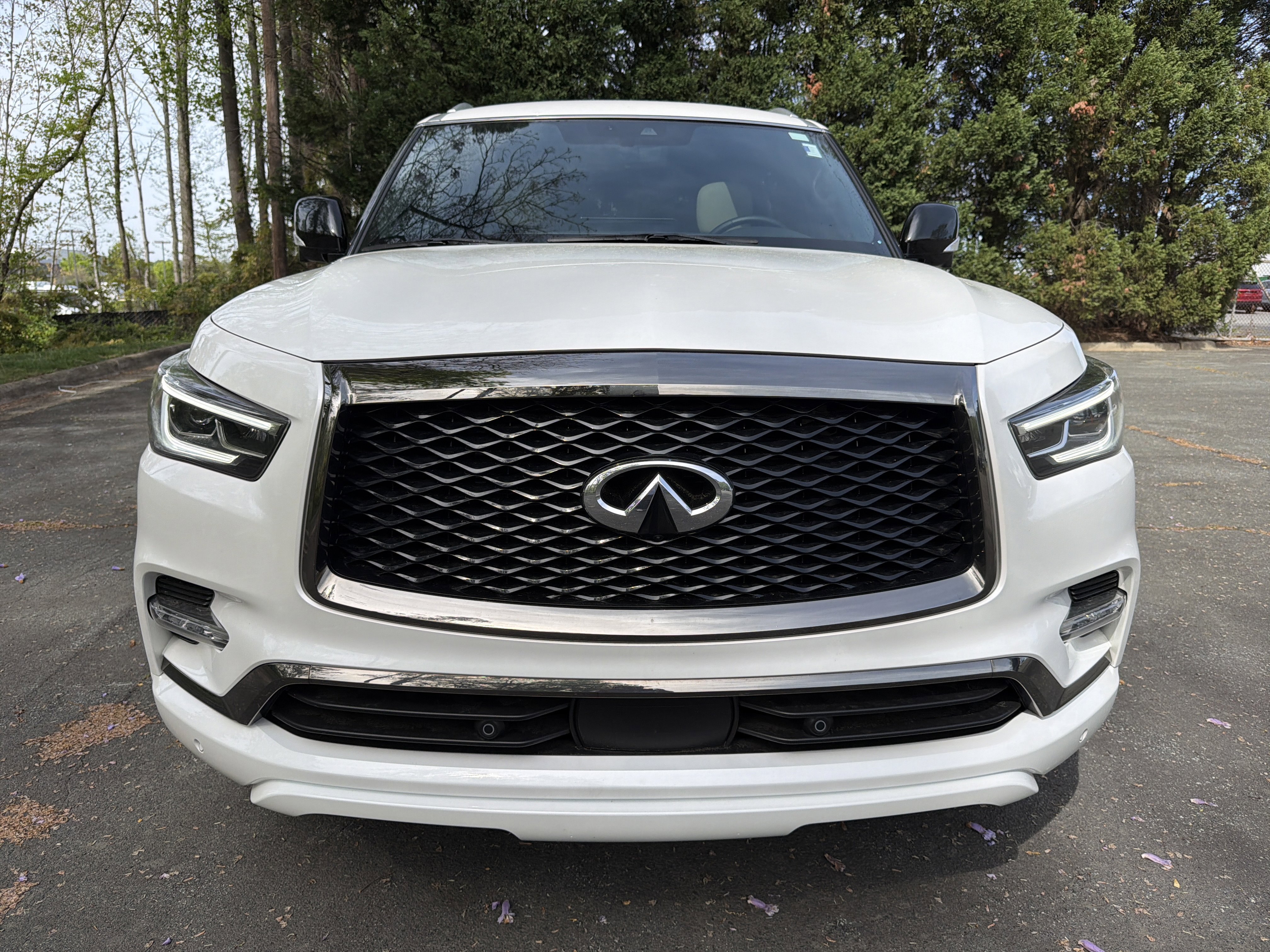 Certified 2024 INFINITI QX80 Sensory image 2