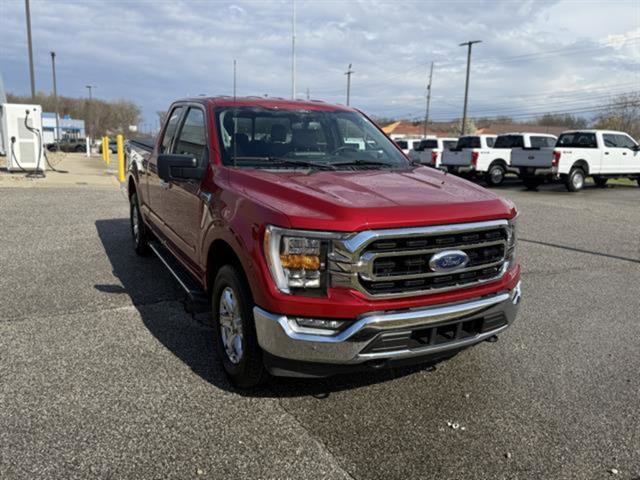 Certified 2022 Ford F150 XLT w/ Equipment Group 302A High image 8