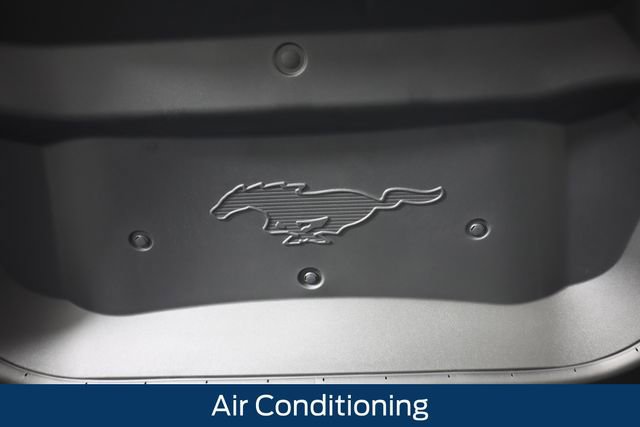 New 2026 Ford Mustang Mach-E GT image 17