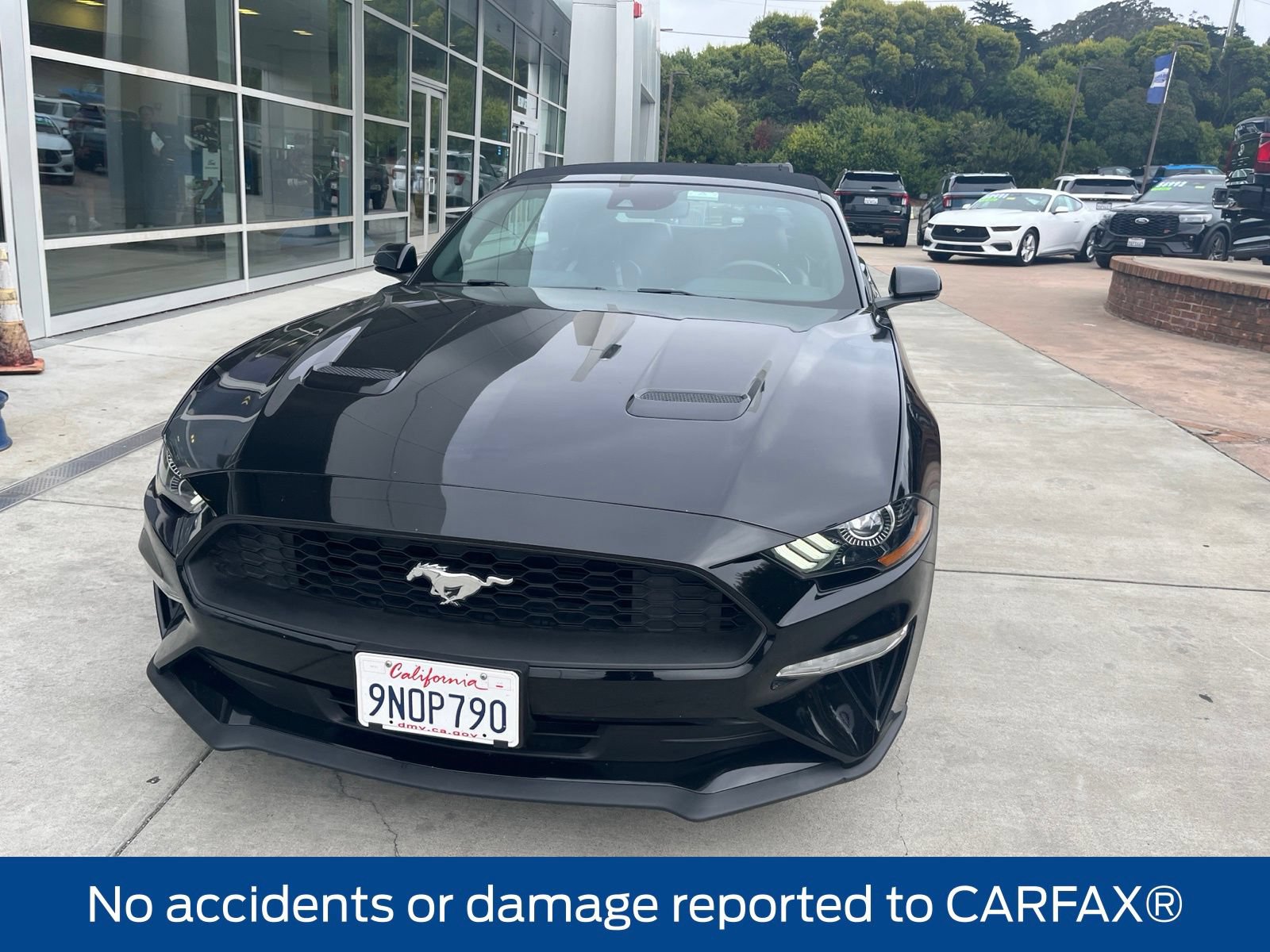 Used 2022 Ford Mustang Premium RWD image 3