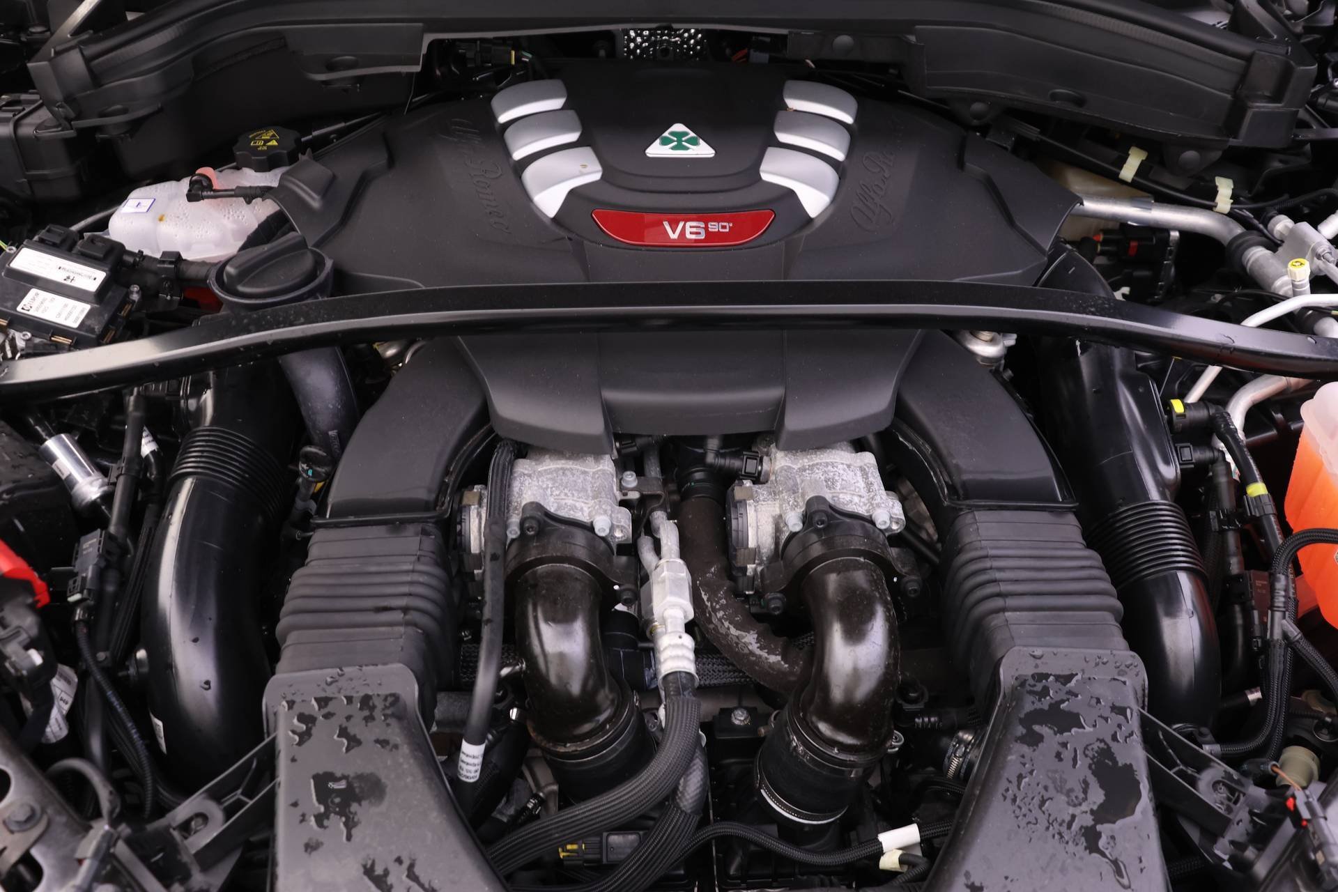 New 2024 Alfa Romeo Stelvio Quadrifoglio w/ Active Assist Plus Package image 16