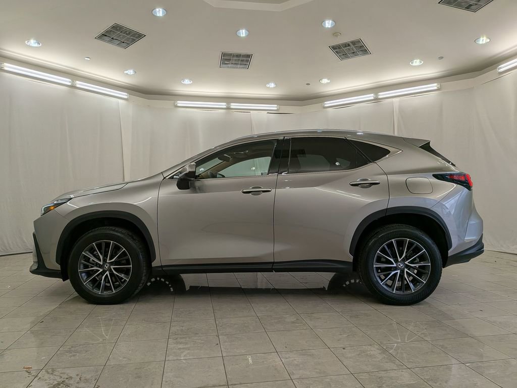 Certified 2024 Lexus NX 250 250 Base w/ Cold Area Package image 5
