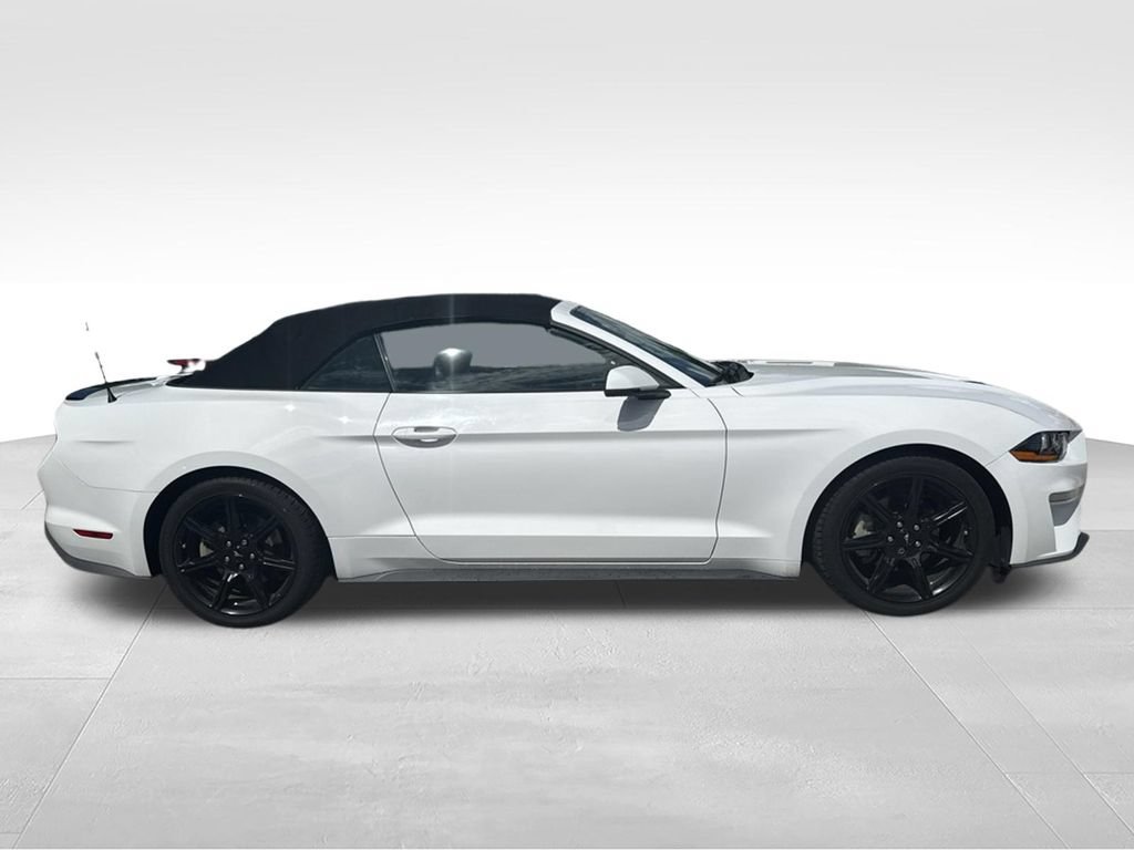 Used 2019 Ford Mustang Premium w/ Black Accent Package RWD image 2