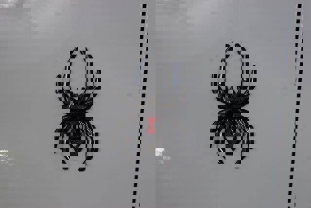 New 2026 Chevrolet Silverado 2500 LTZ w/ Trail Boss Package image 21