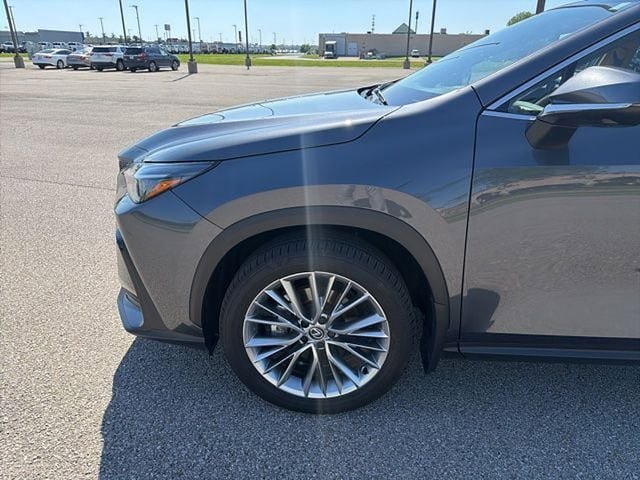Used 2025 Lexus NX 350 AWD w/ Cold Area Package image 9