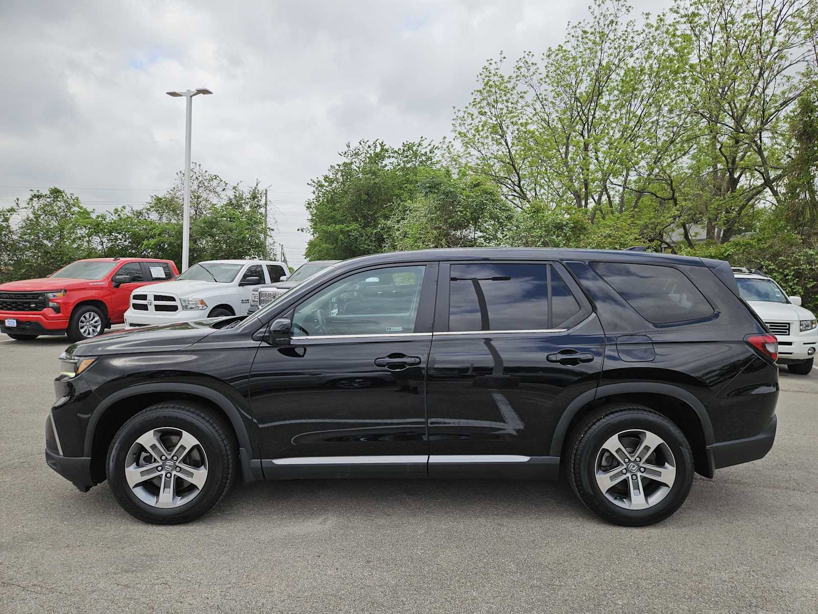 Used 2023 Honda Pilot EX-L image 4