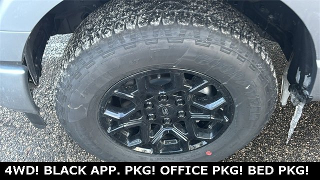 New 2025 Ford F150 XLT w/ Equipment Group 302A MID image 29