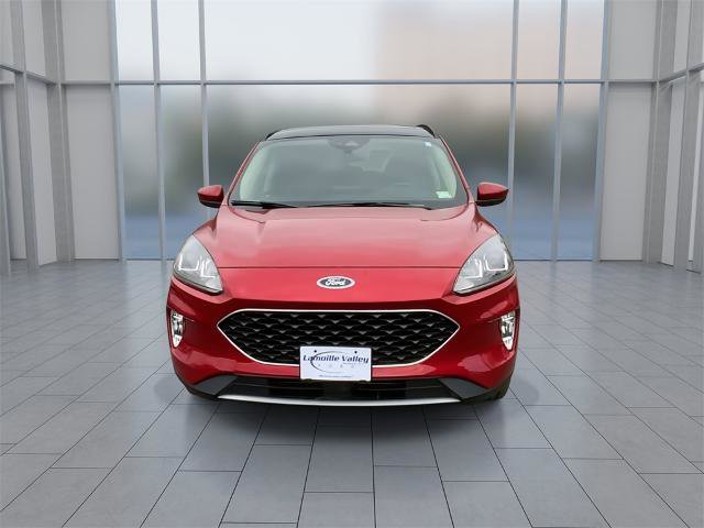 Certified 2020 Ford Escape SEL image 3