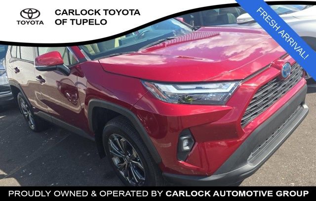 Used 2024 Toyota RAV4 XLE Premium w/ Weather Package AWD/4WD image 3
