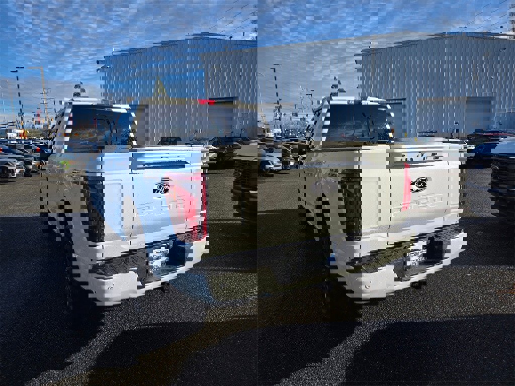 New 2025 Ford F150 Platinum image 7