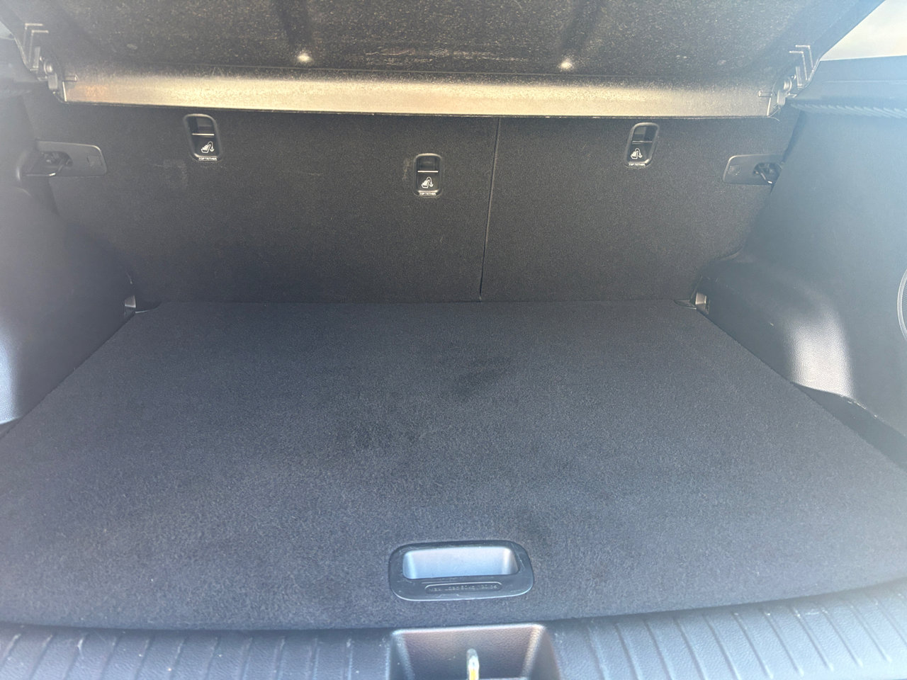 Used 2024 Kia Seltos SX w/ SX Sunroof Package image 12