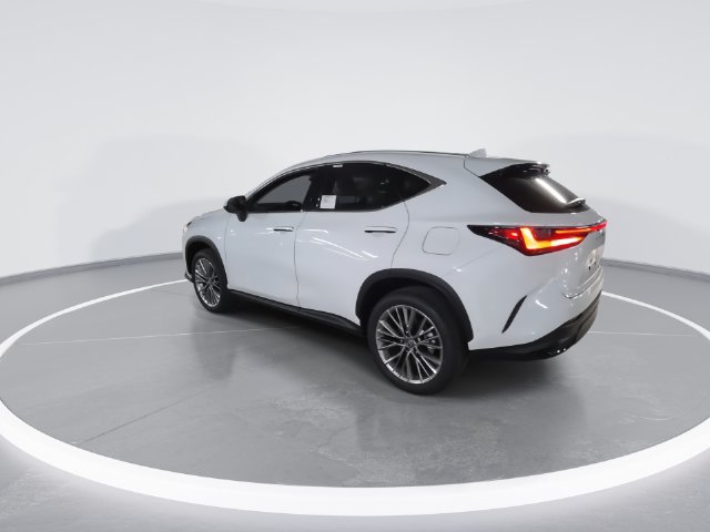 Certified 2026 Lexus NX 350 AWD w/ Cold Area Package image 6