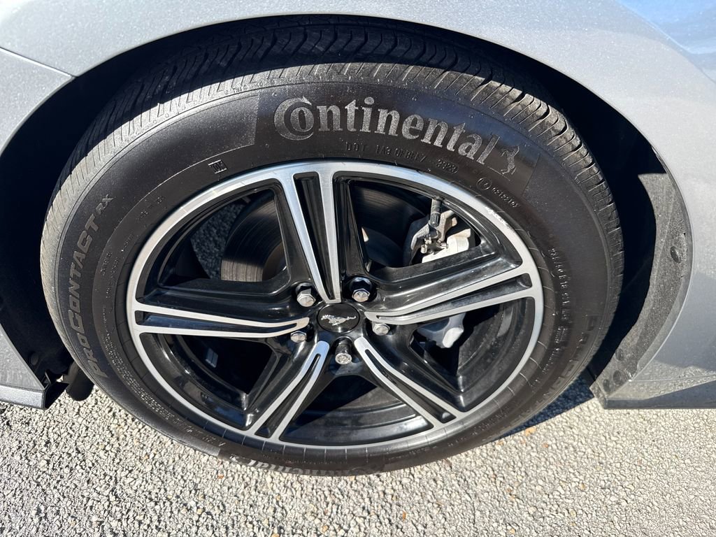 Used 2024 Ford Mustang Premium image 13