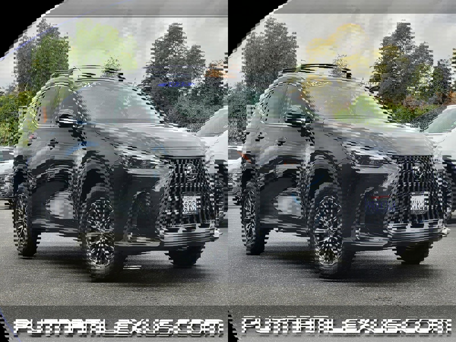 Used 2025 Lexus NX 350 AWD