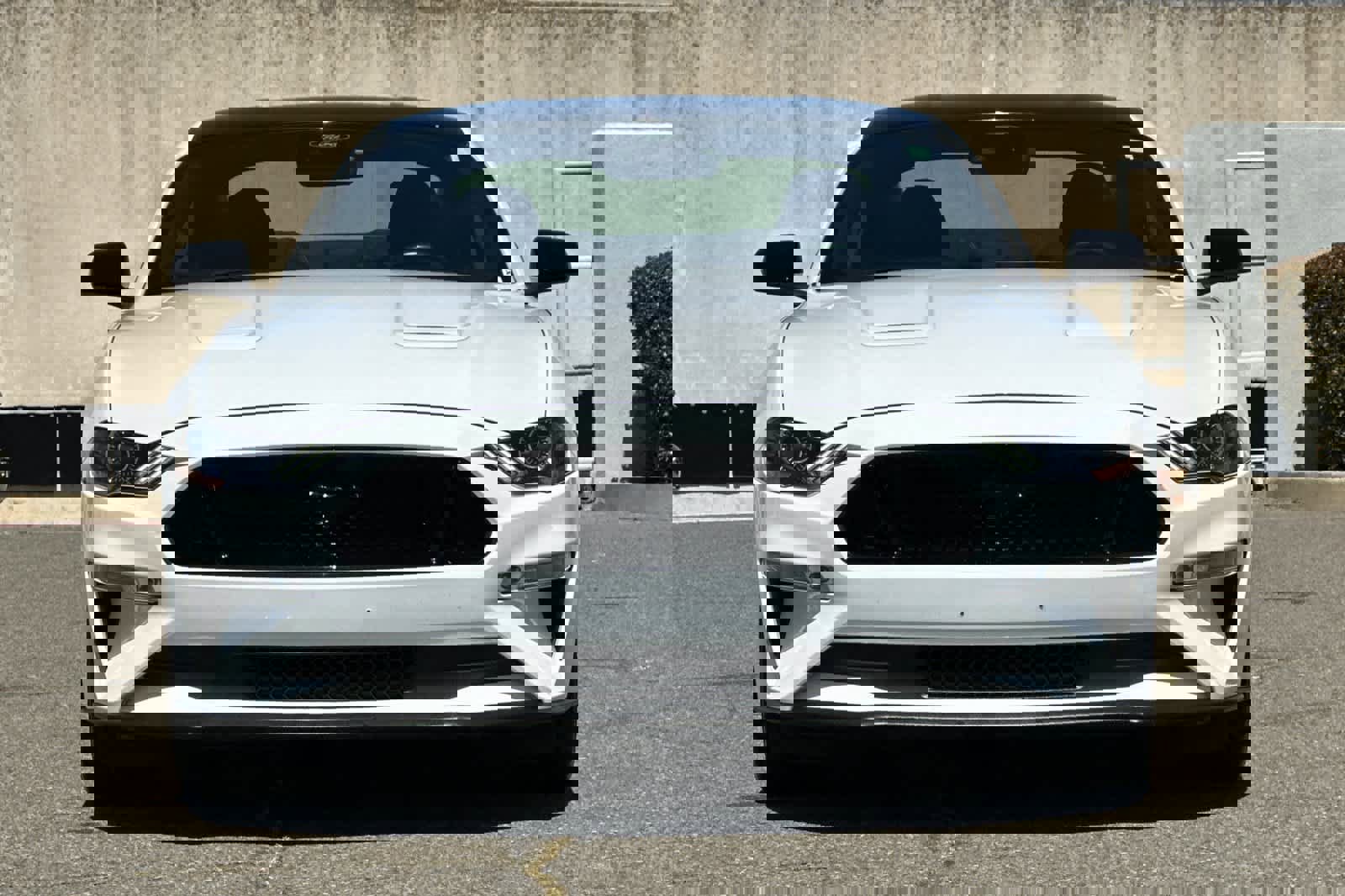 Used 2022 Ford Mustang GT w/ Black Accent Package RWD image 9